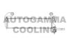 AUTOGAMMA 102924 Radiator, engine cooling